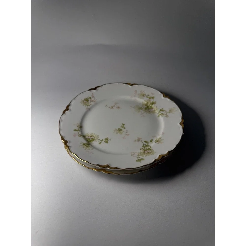 Set of 6 Haviland Limoges France Plates And Saucers Schleiger Floral Gold White